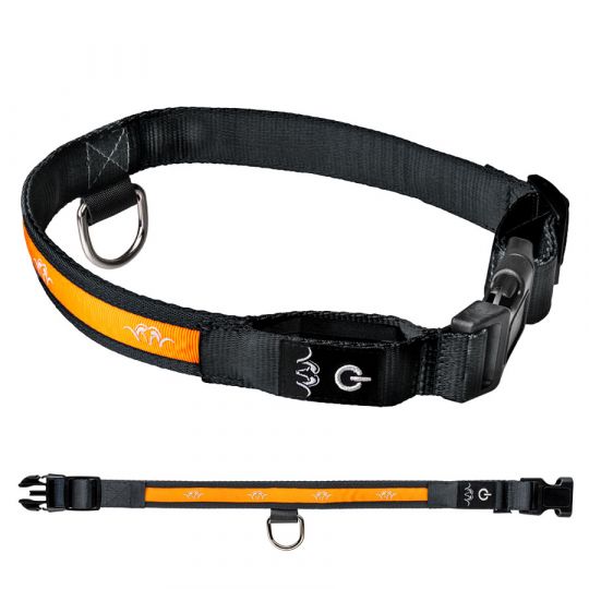 Blaser LED Hunde-Leuchthalsband 